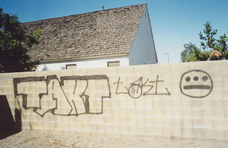Worlds Best Graffiti Remover Feltpen Fadeout (82-71M): Feltpen Fadeout