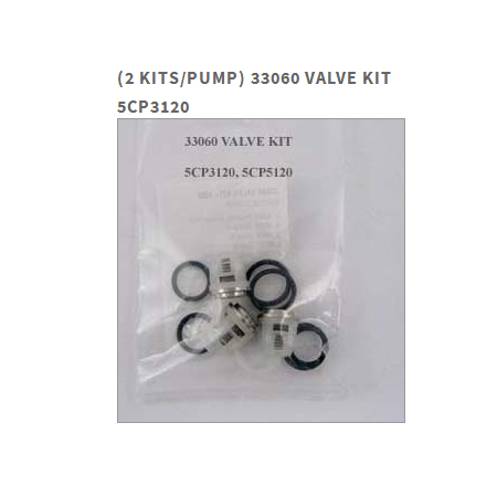 Cat Pumps 33060 Valve Kit for - 5CP3120 Pump
