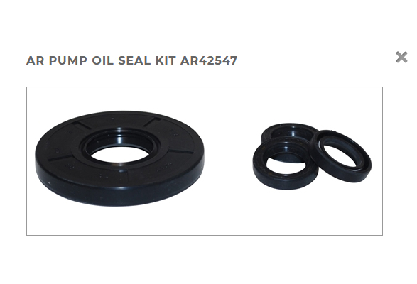 Annovi Reverberi Seal Repair Kit AR42547